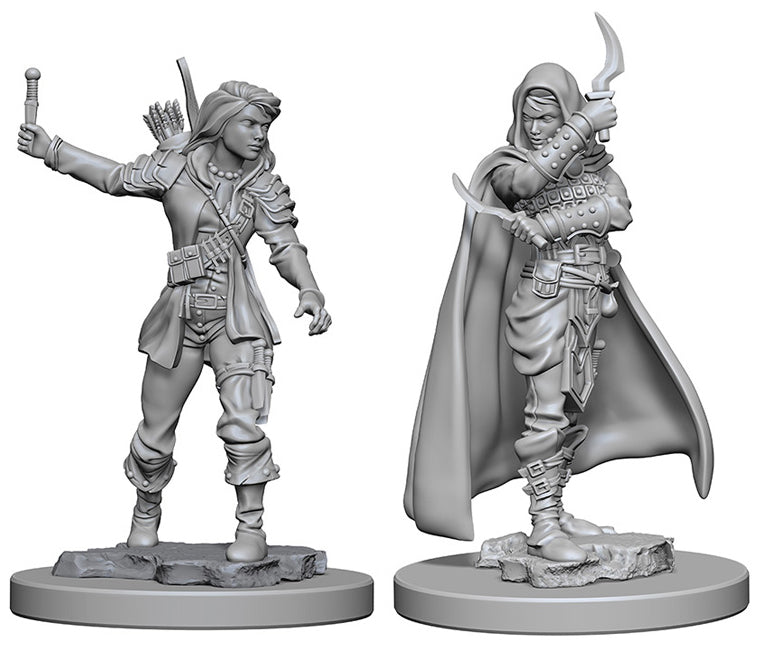 Pathfinder Deep Cuts Unpainted Miniatures: W1 Human Female Rogue - Linebreakers