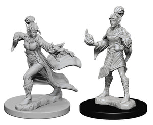 Pathfinder Deep Cuts Unpainted Miniatures: W1 Elf Female Sorcerer - Linebreakers