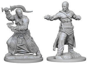 Pathfinder Deep Cuts Unpainted Miniatures: W1 Human Male Monk - Linebreakers