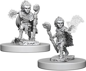 Pathfinder Deep Cuts Unpainted Miniatures: W5 Gnome Male Druid - Linebreakers